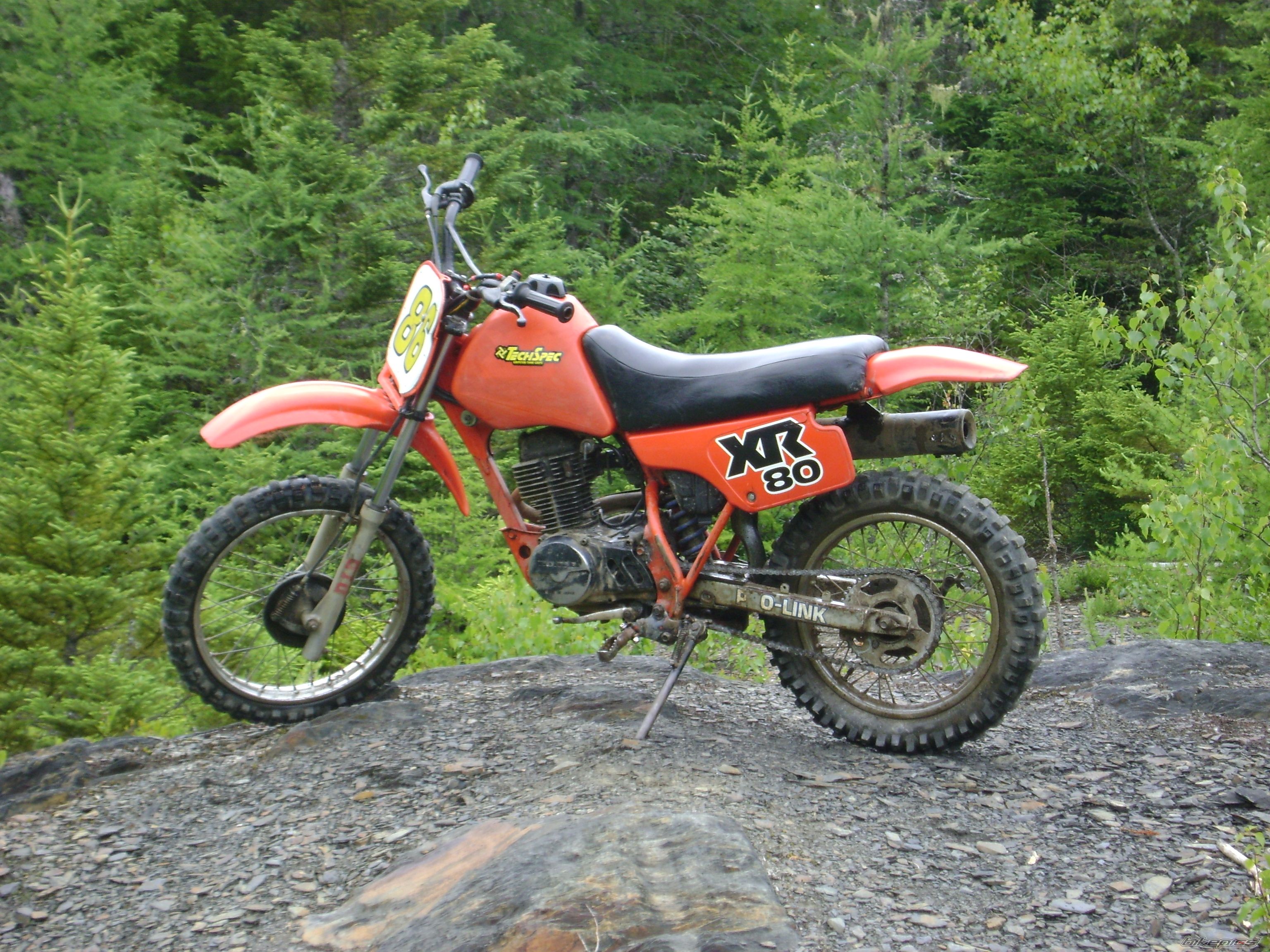 Photo 2006087