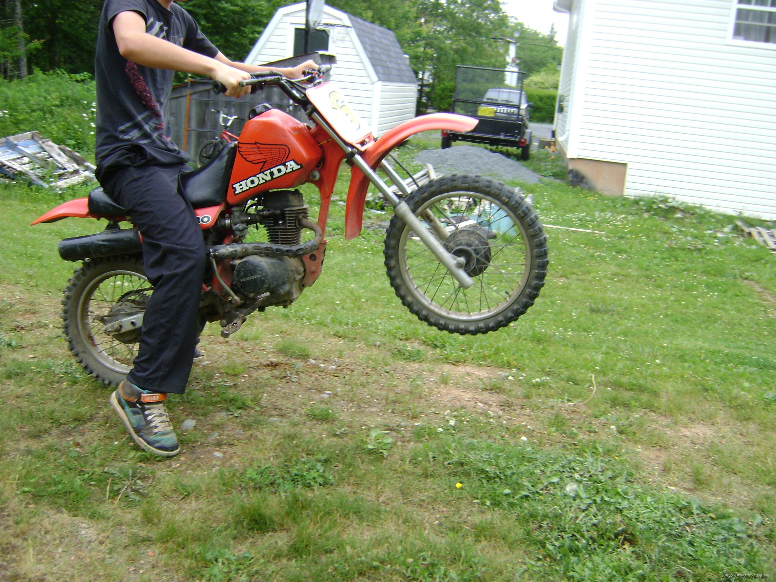 Photo 2006088