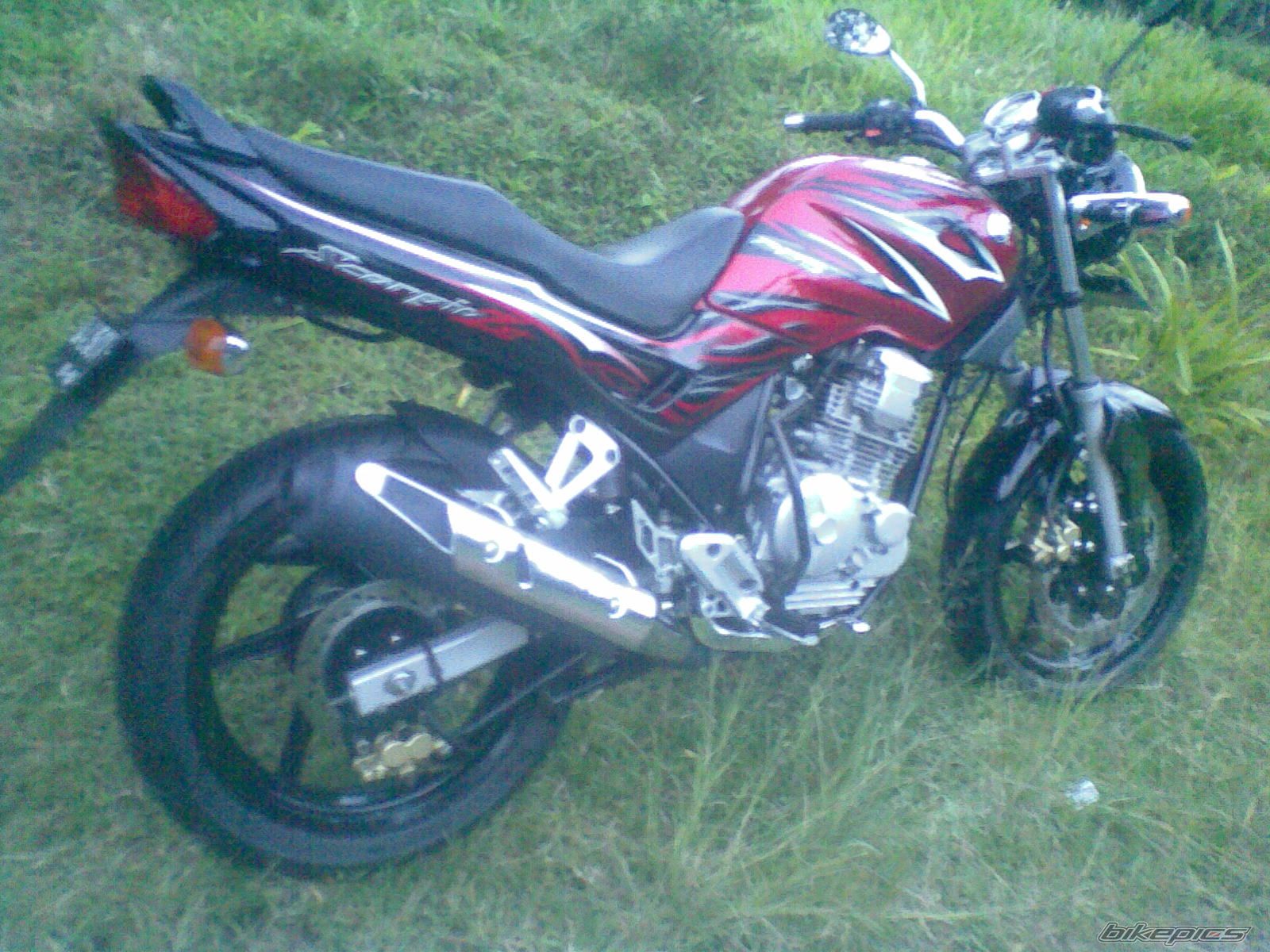 Photo 2006097
