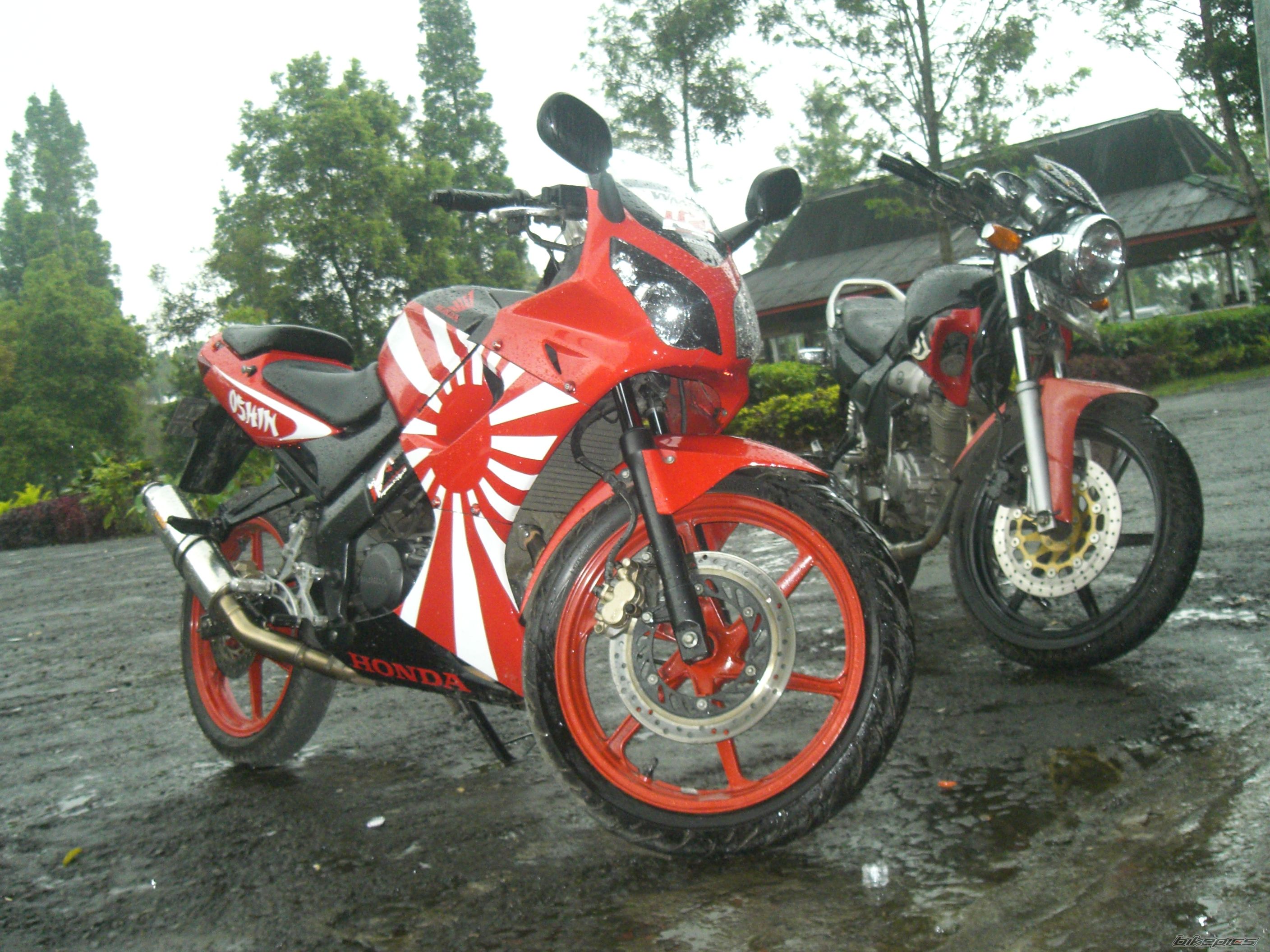 Photo 2006139
