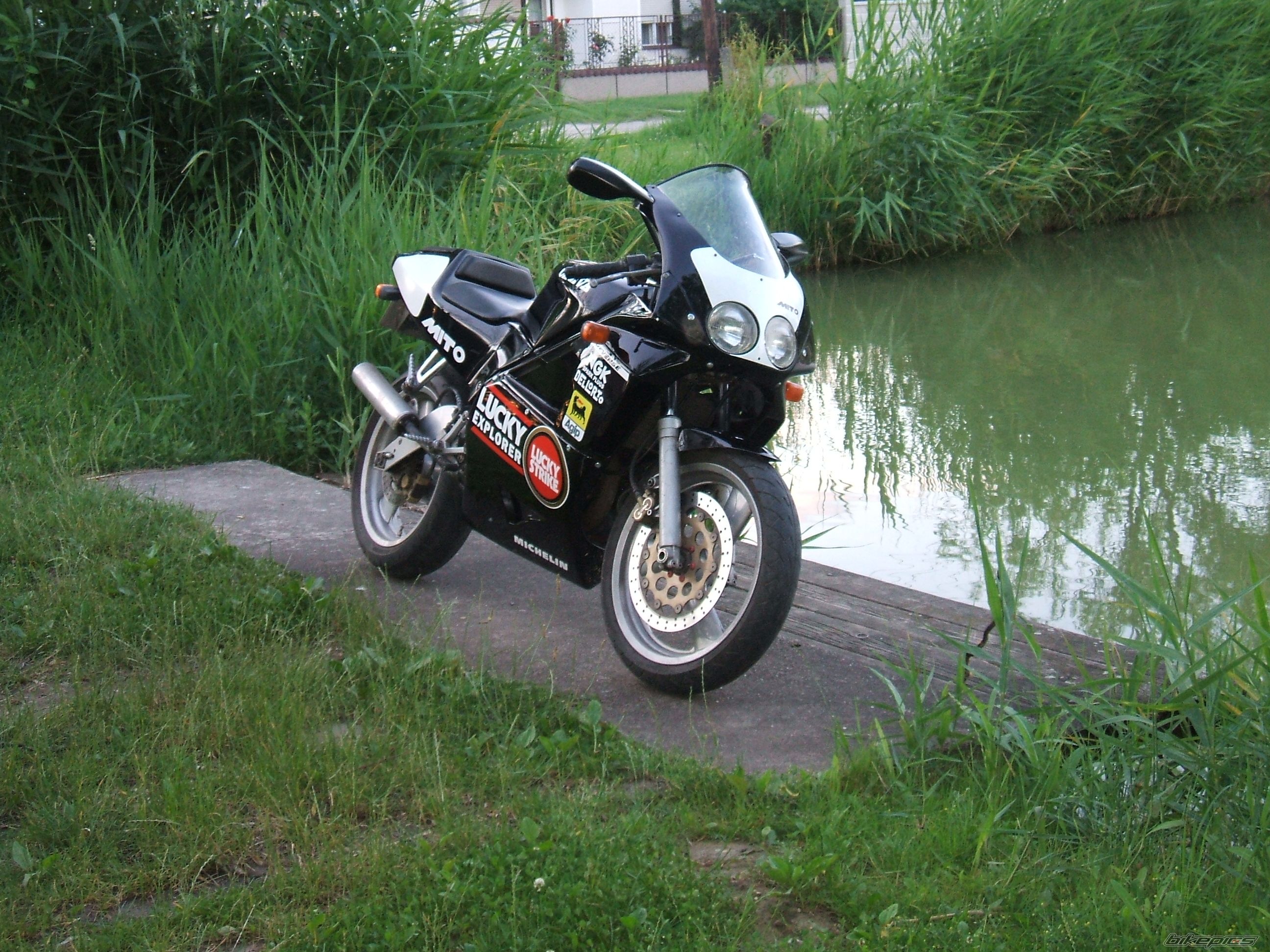 Photo 2006167