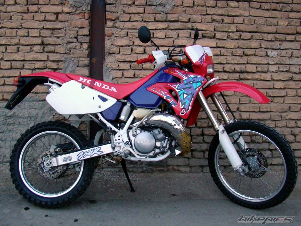 Photo 2006168