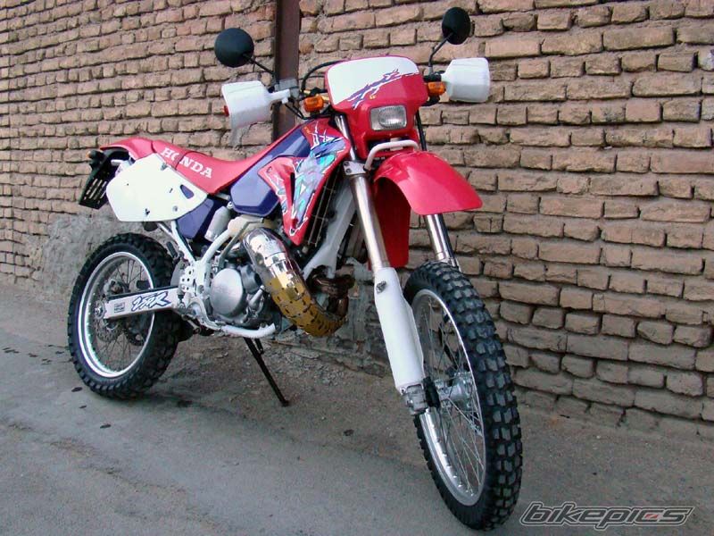 Photo 2006169