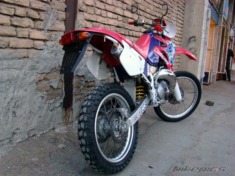 Photo 2006171