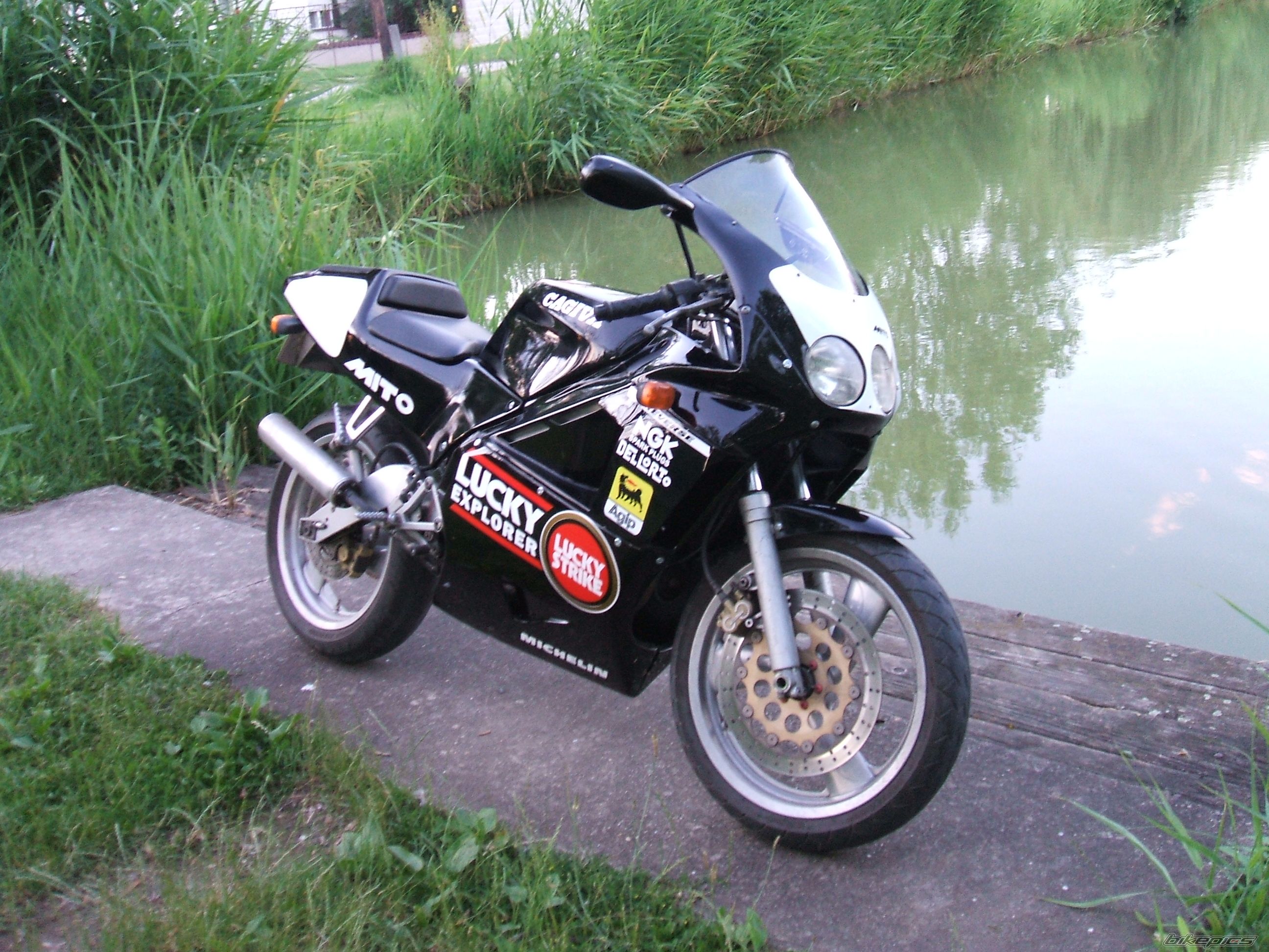 Photo 2006174