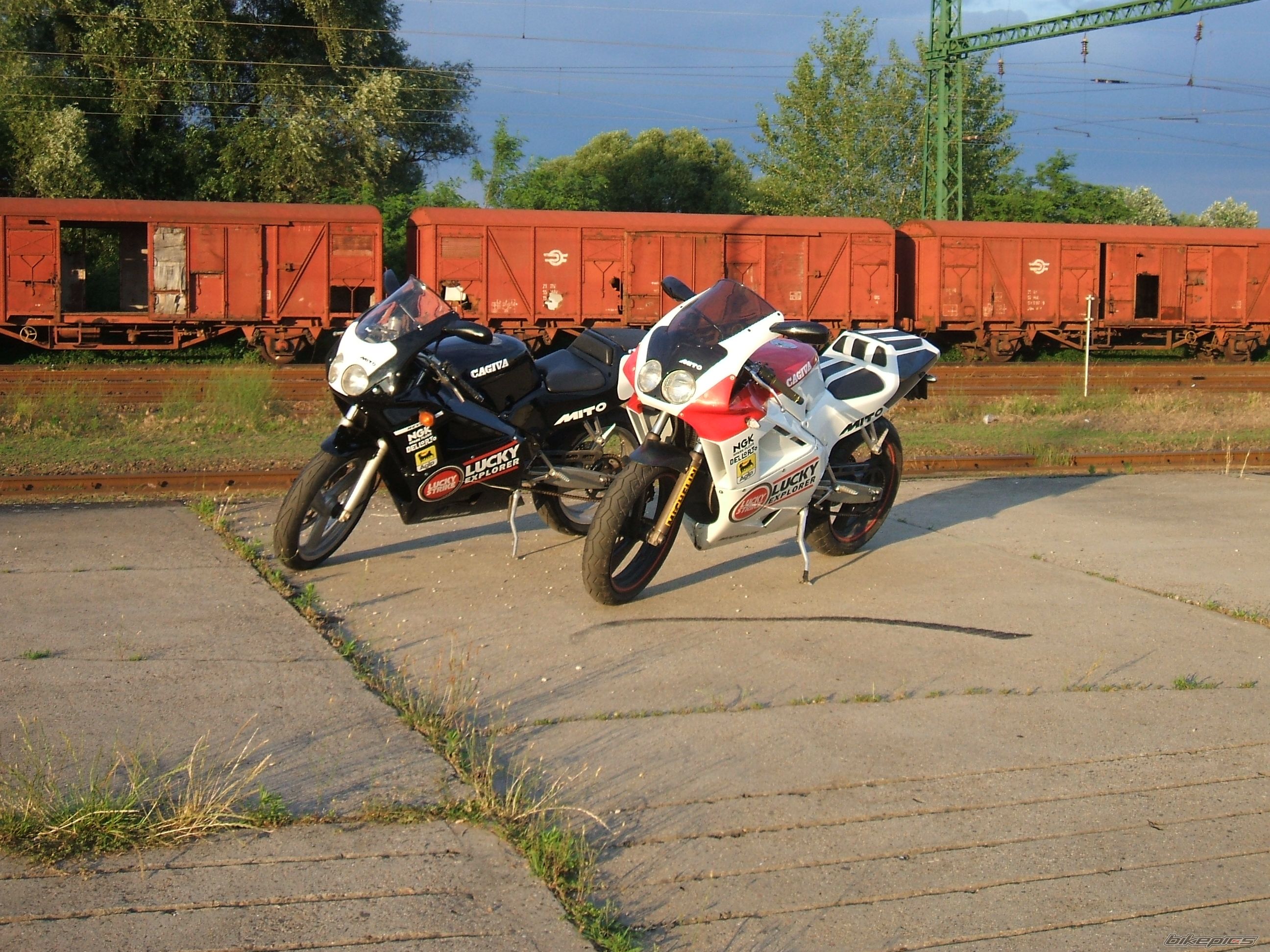 Photo 2006178