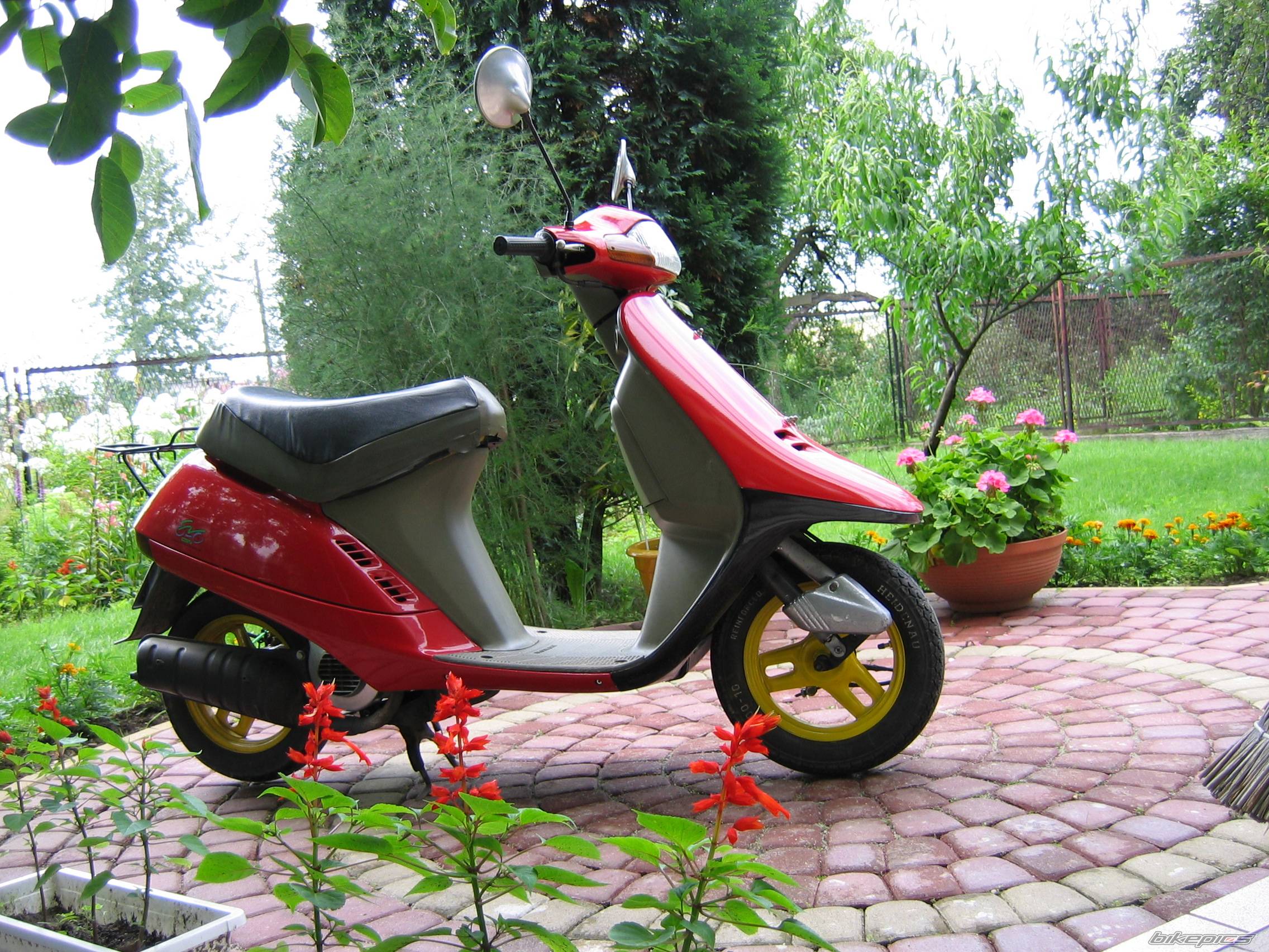 Photo 200618