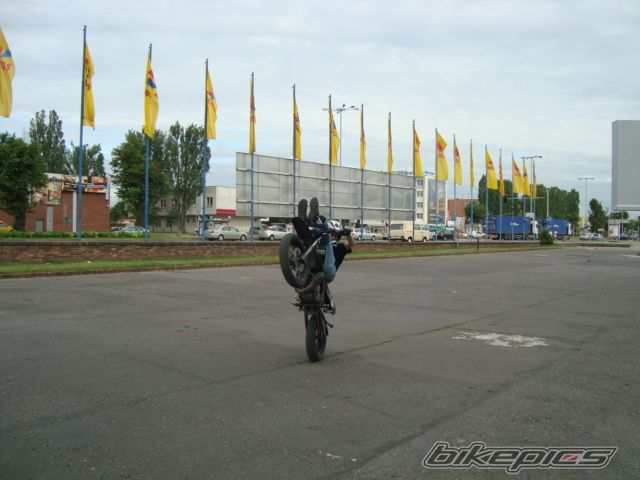 Photo 2006181