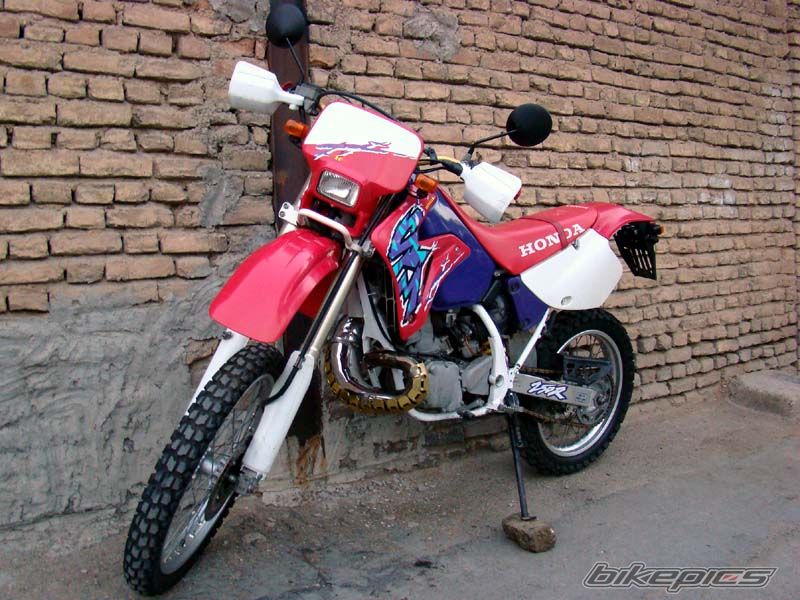 Photo 2006183