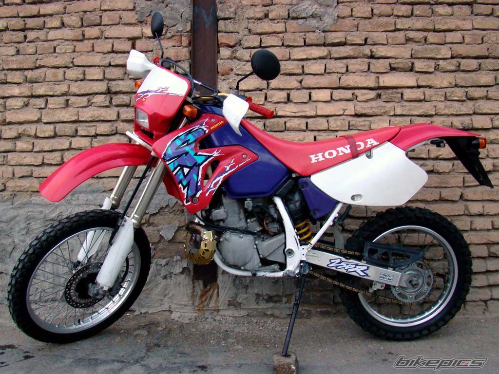 Photo 2006185