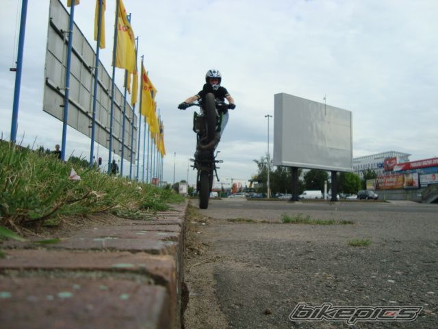 Photo 2006187