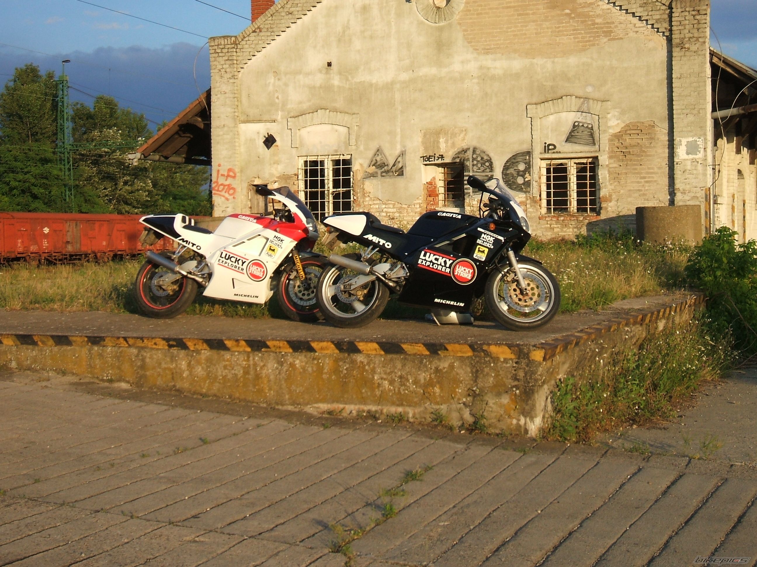 Photo 2006191