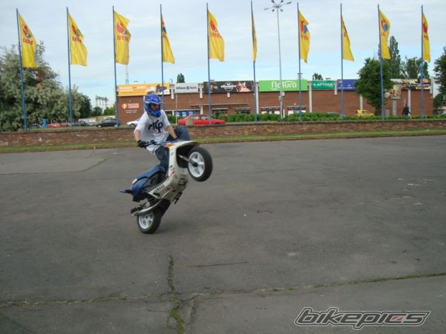Photo 2006194
