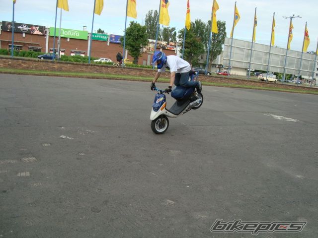 Photo 2006195