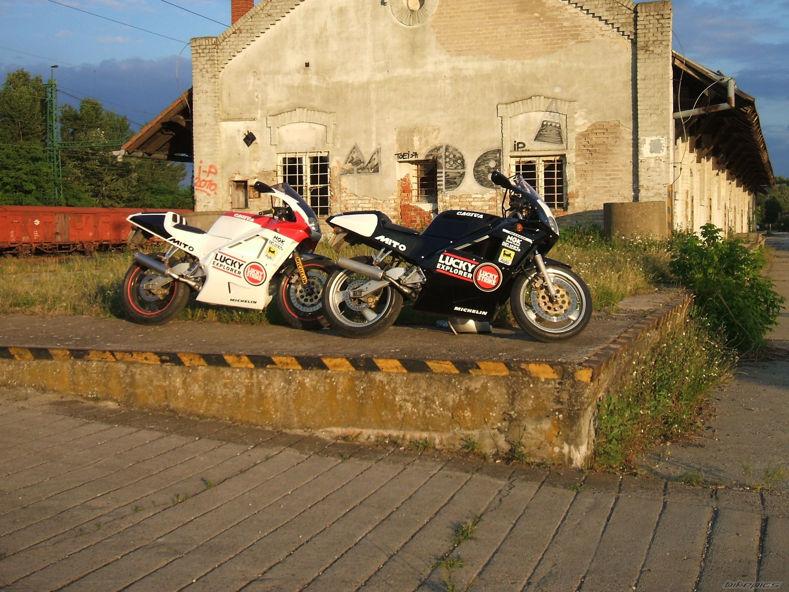 Photo 2006196