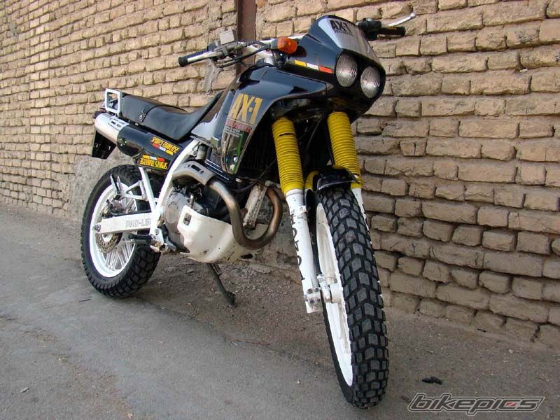 Photo 2006197