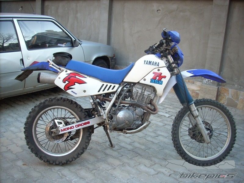 Photo 2006216