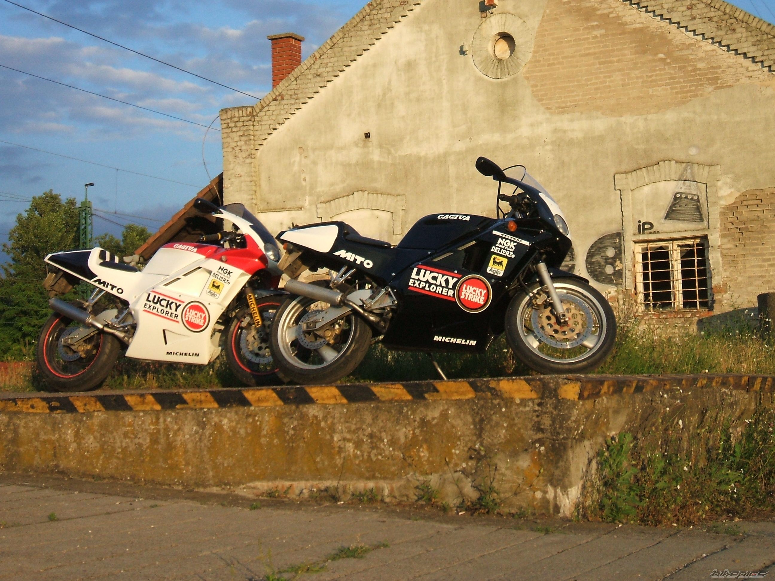 Photo 2006218