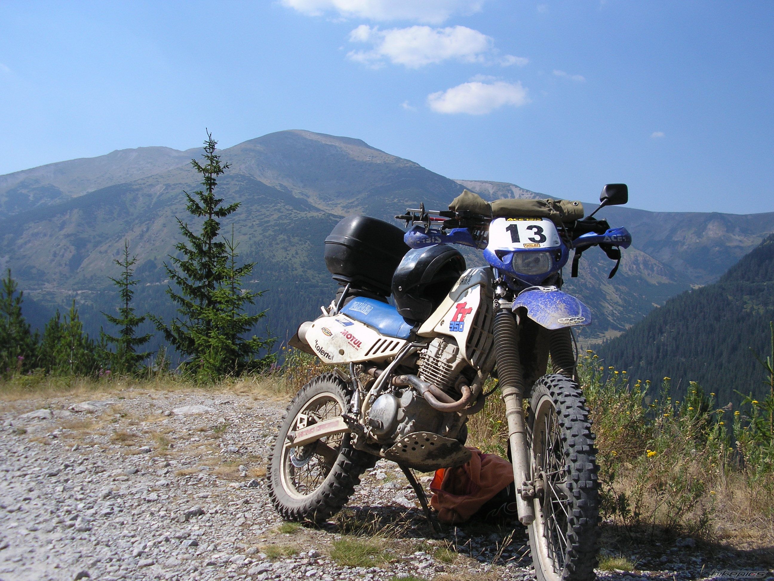 Photo 2006221