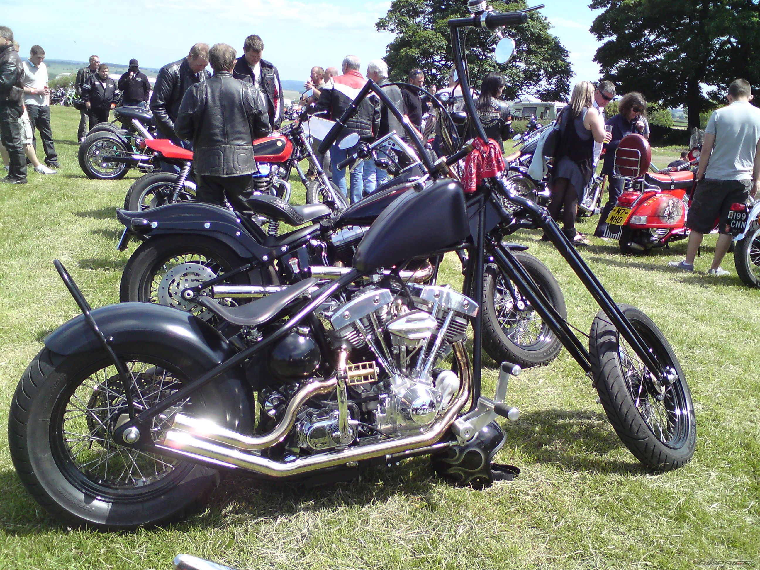 Photo 2006226