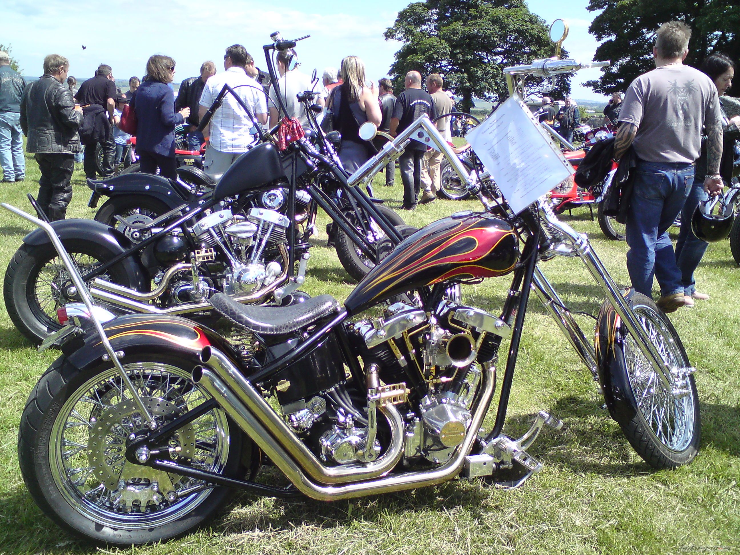 Photo 2006228