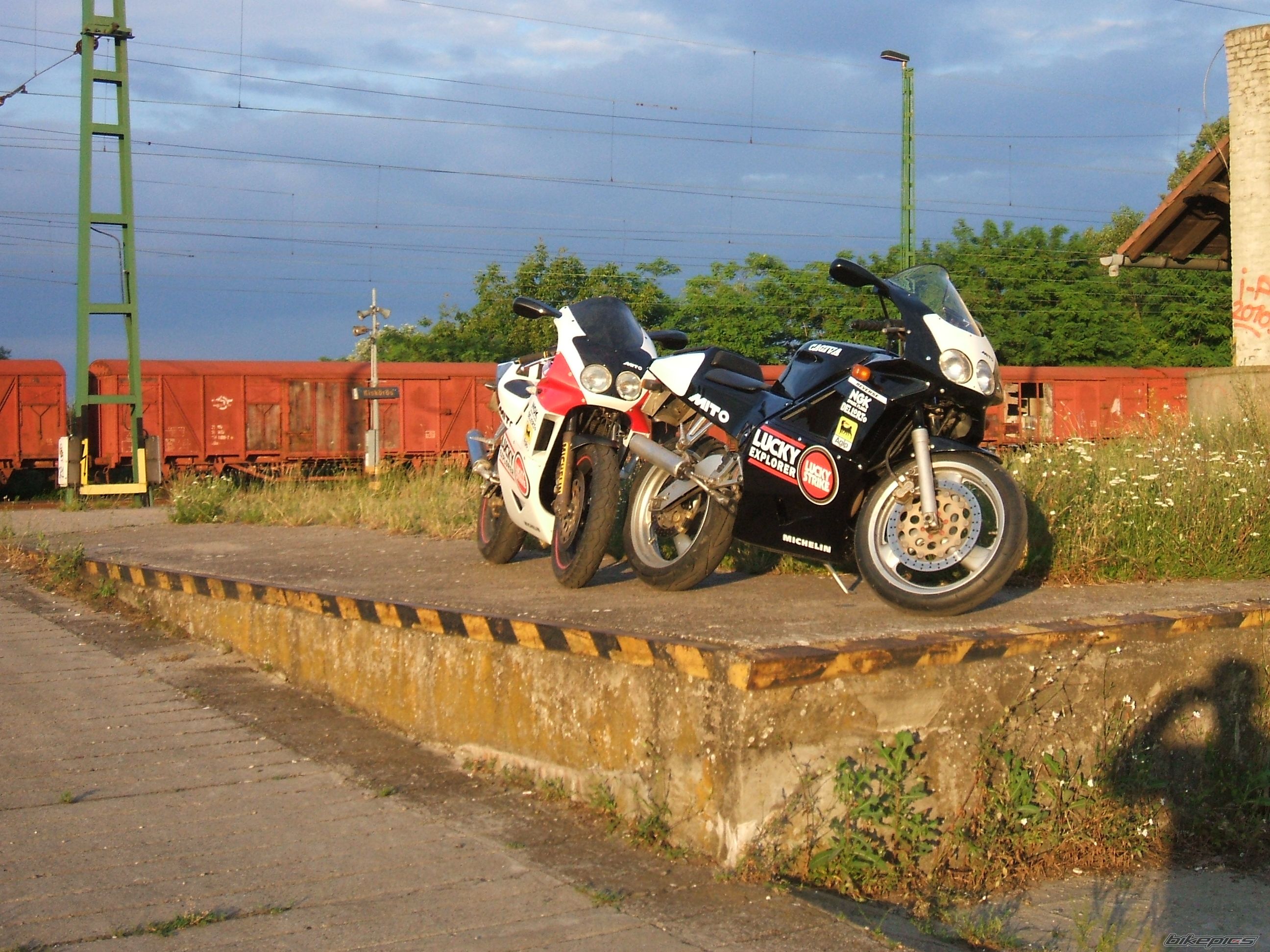 Photo 2006230