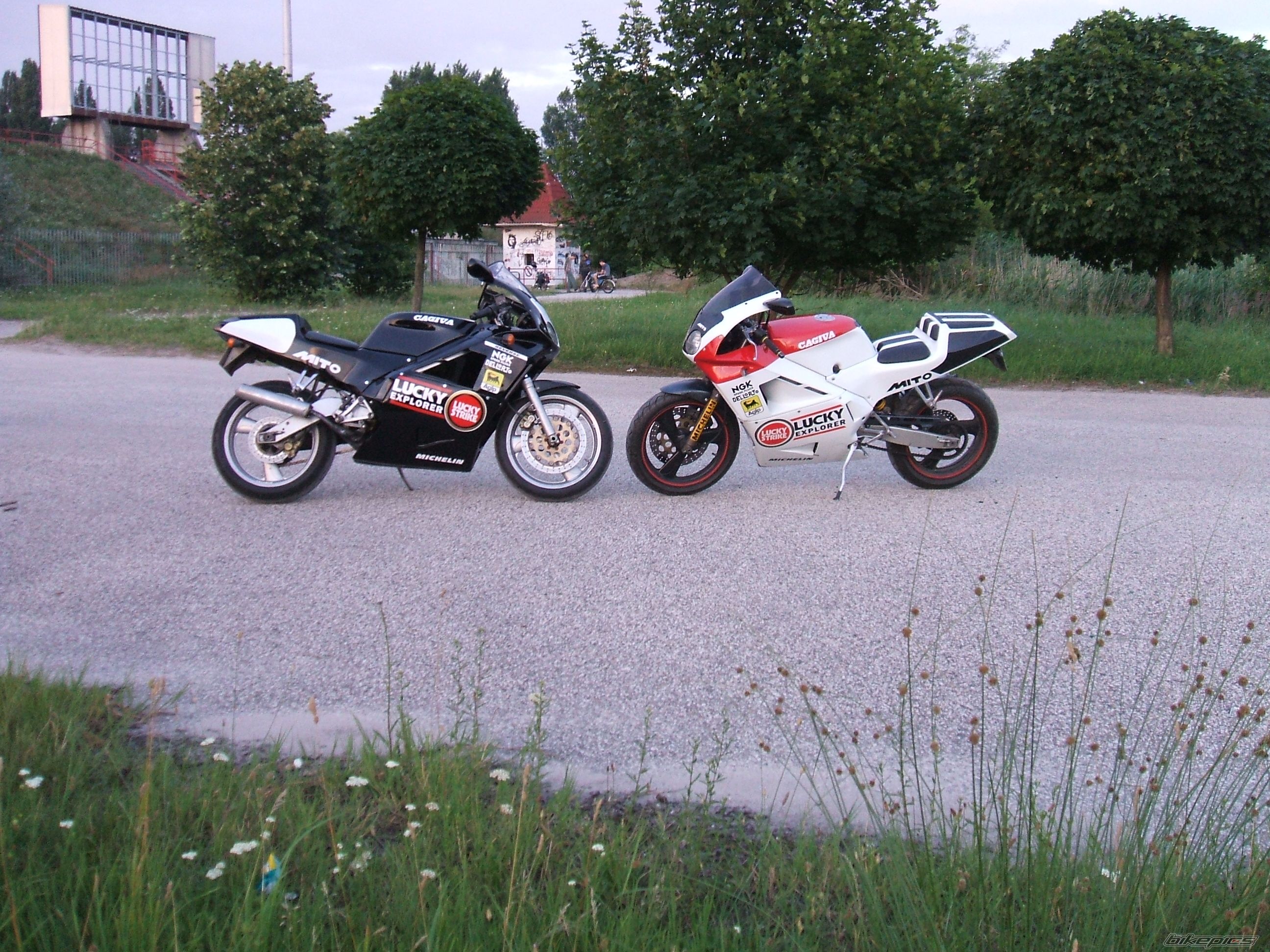 Photo 2006237
