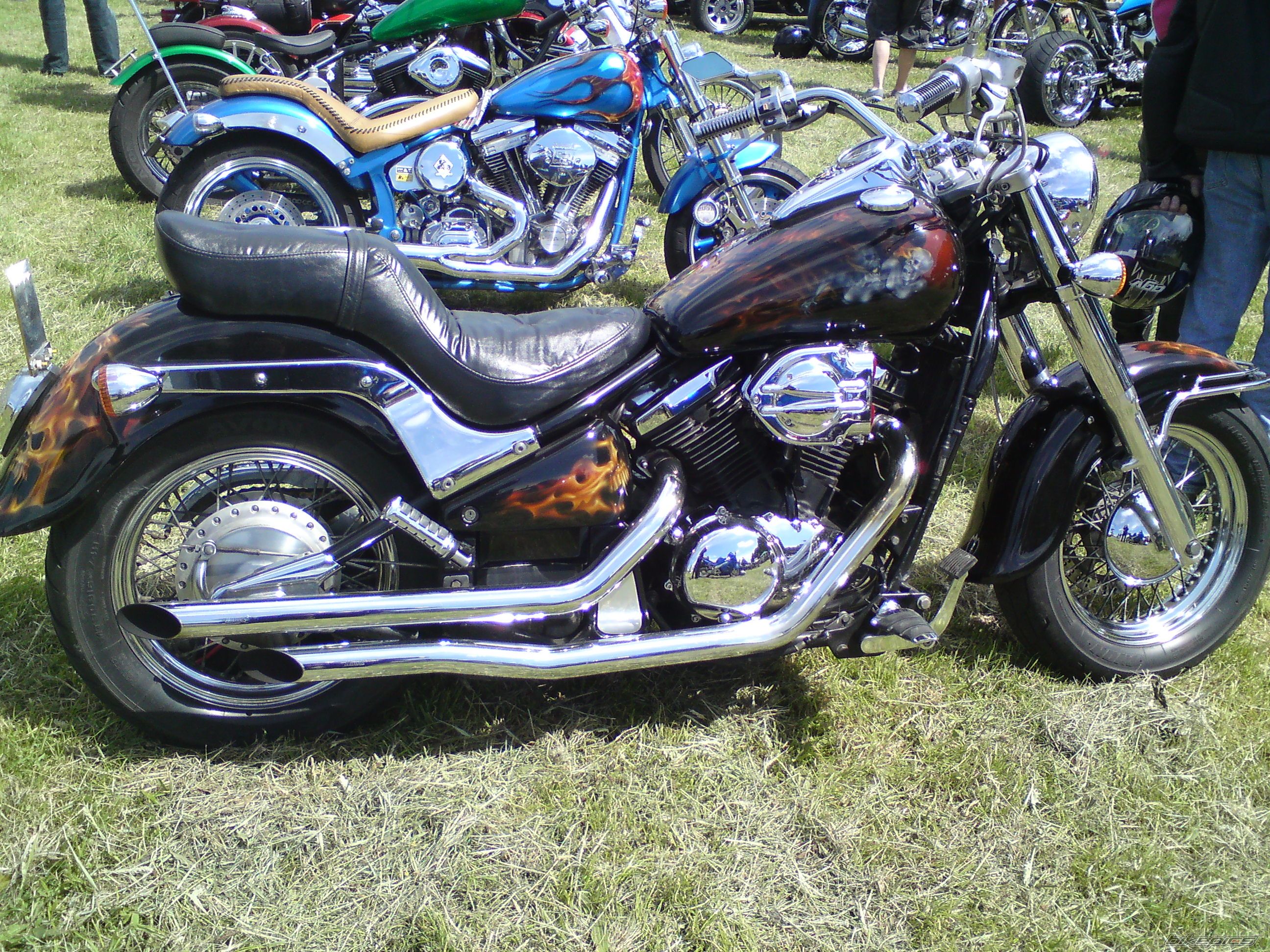 Photo 2006240