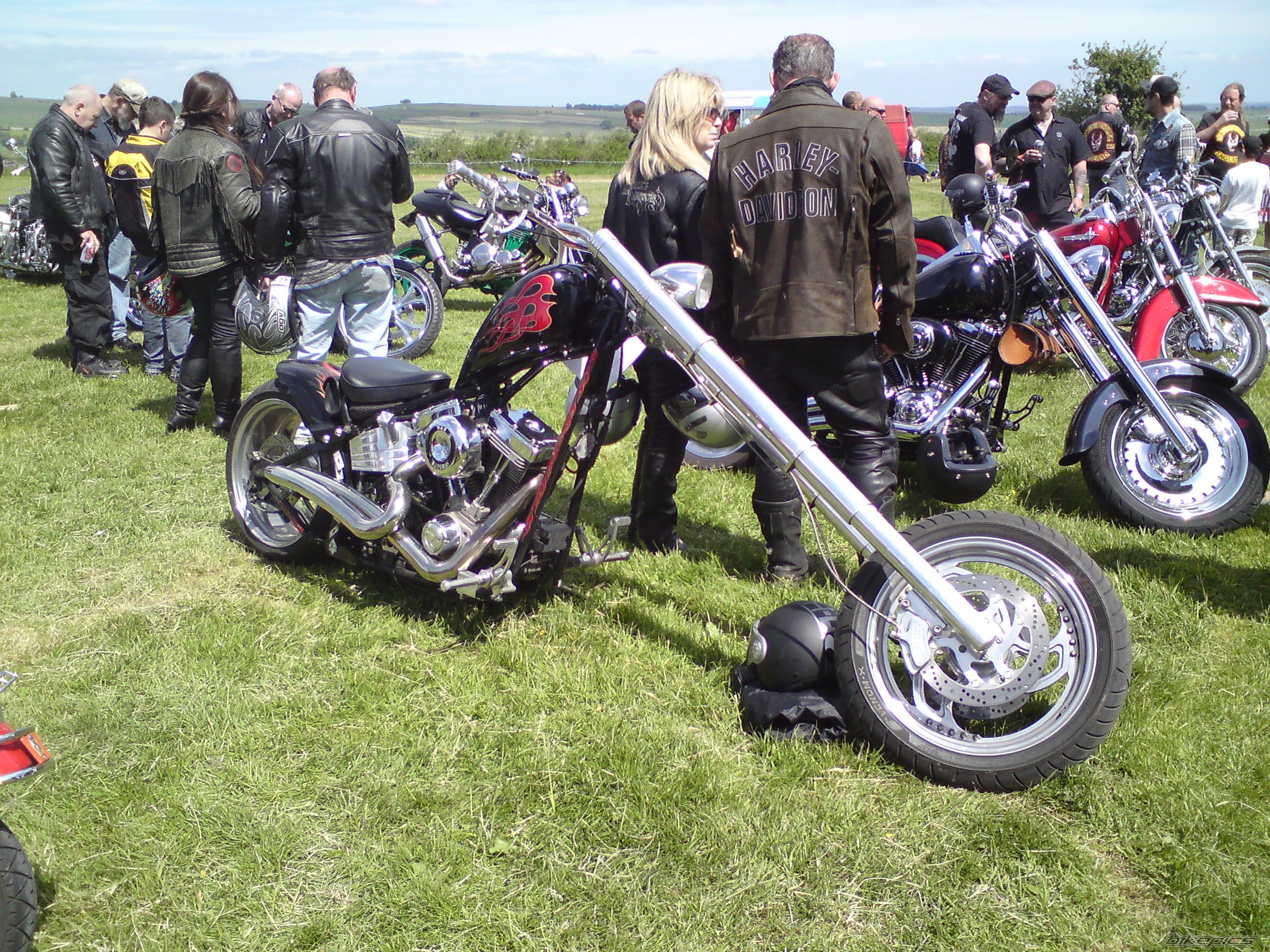 Photo 2006243