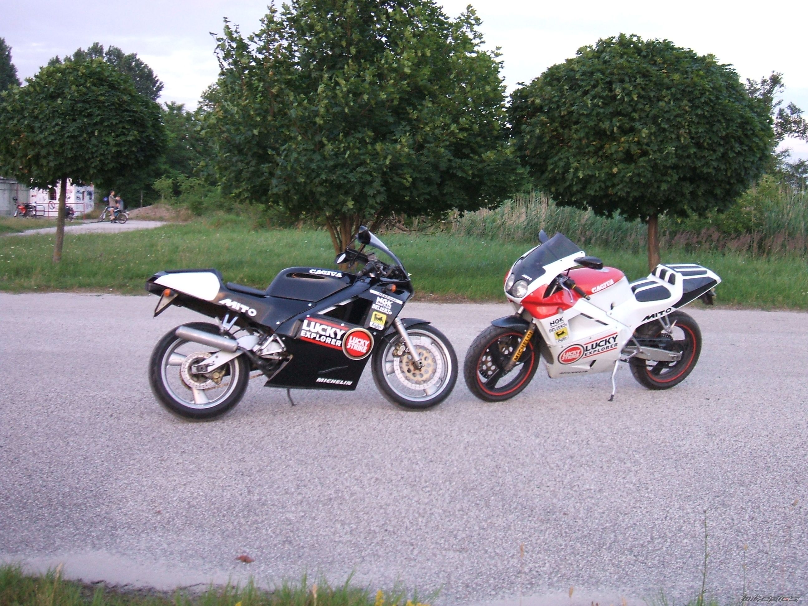Photo 2006244