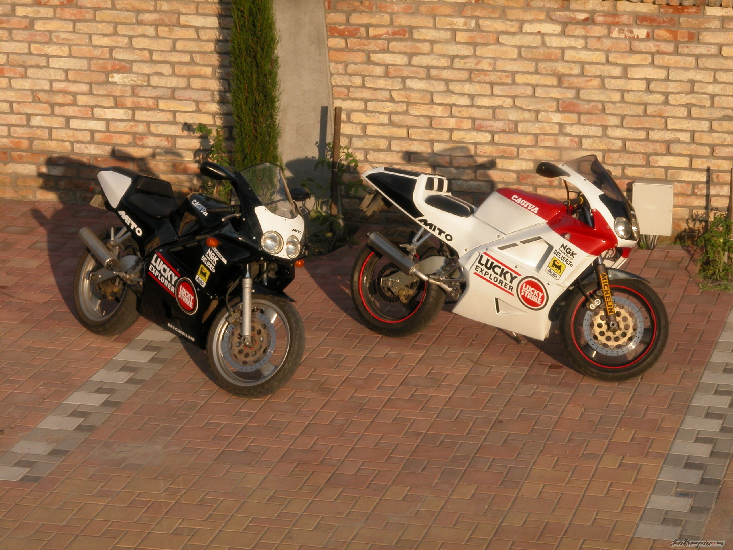 Photo 2006246