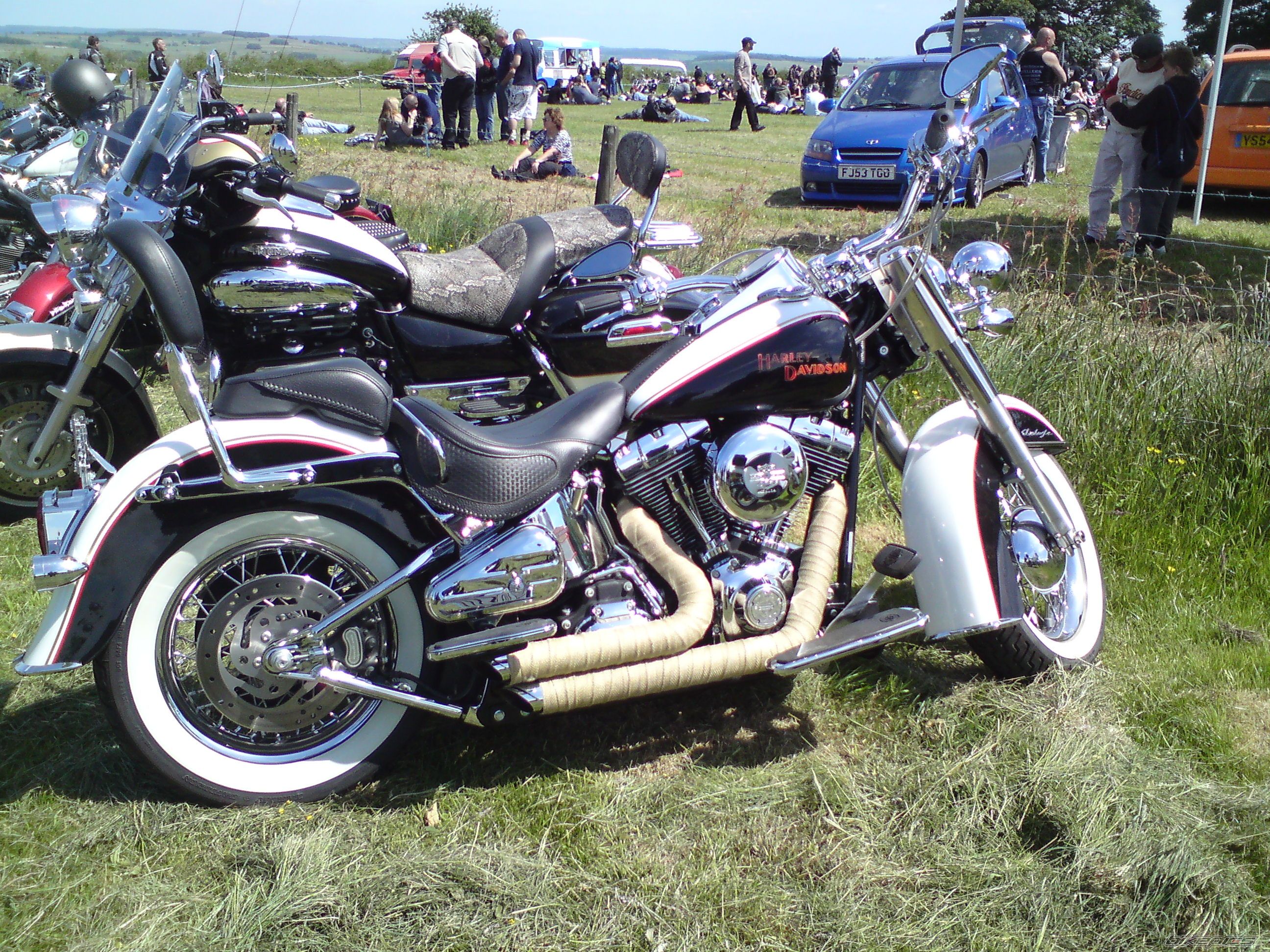 Photo 2006252