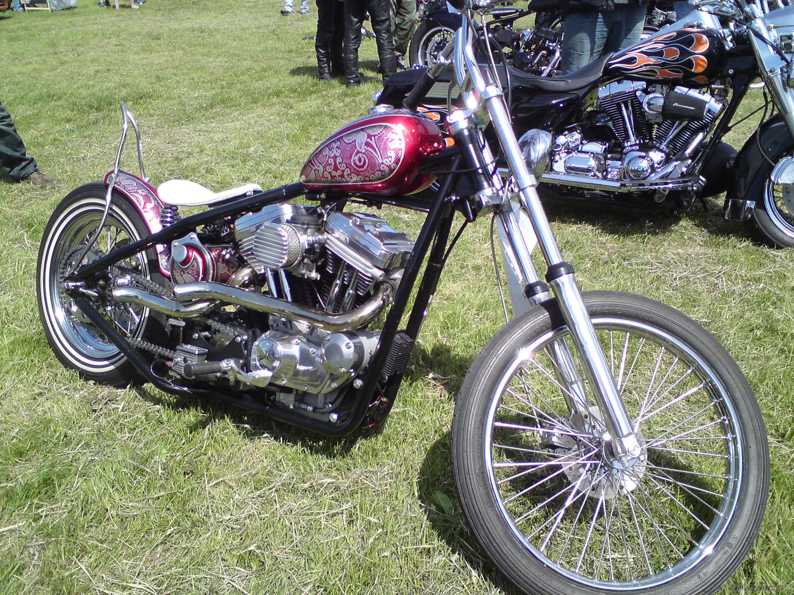 Photo 2006253