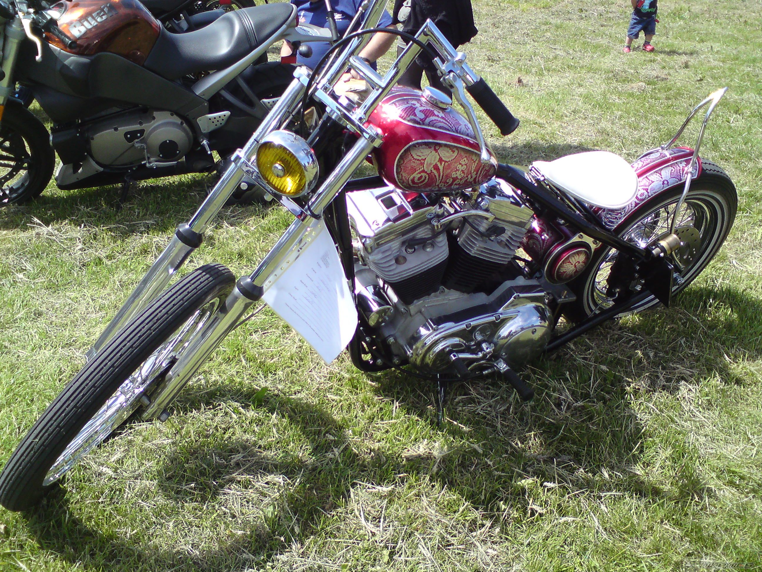 Photo 2006254