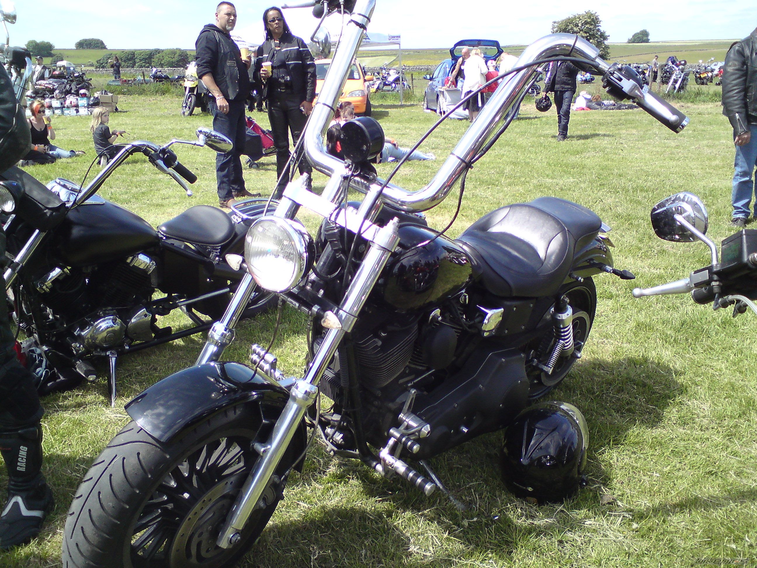 Photo 2006255