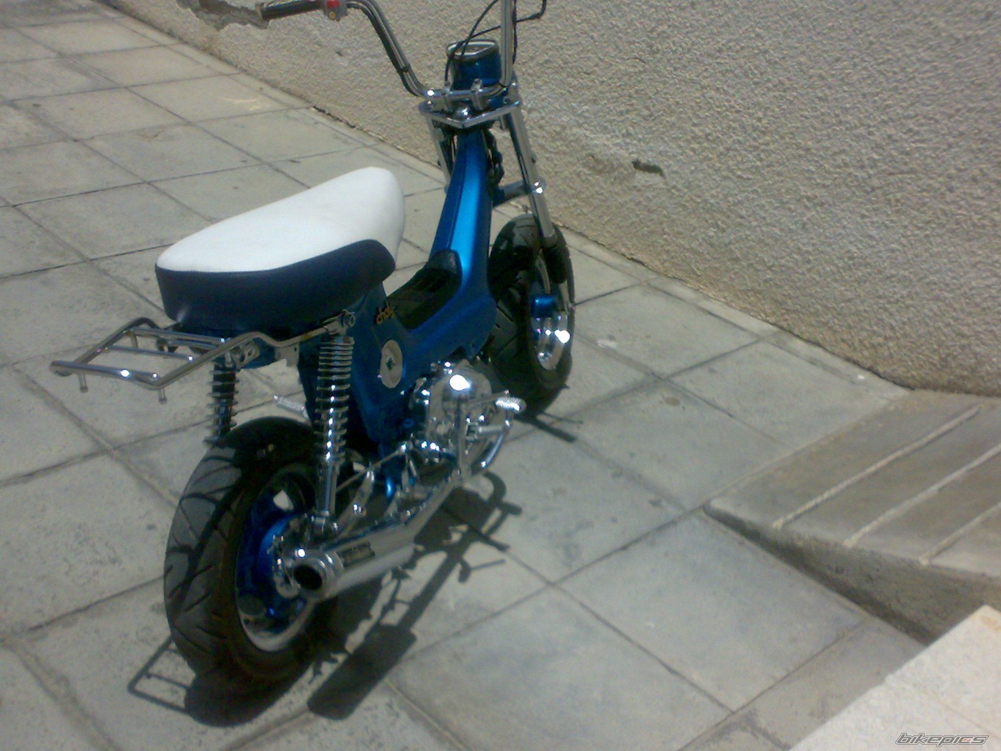 Photo 2006336