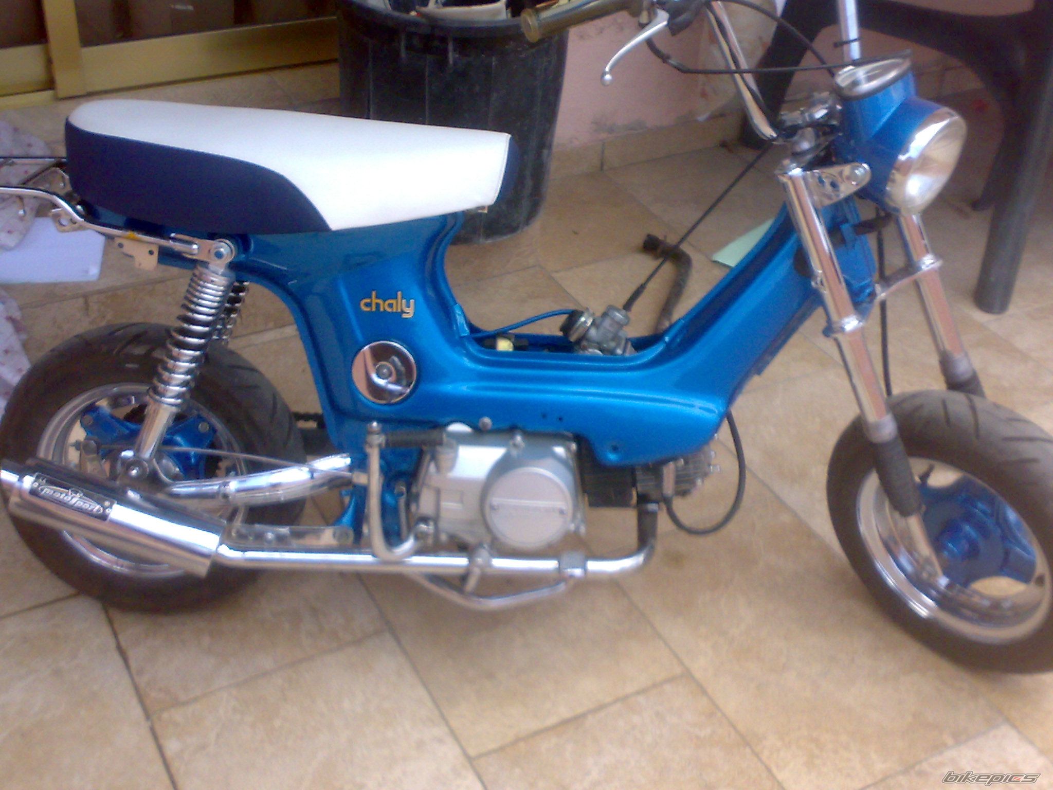 Photo 2006337