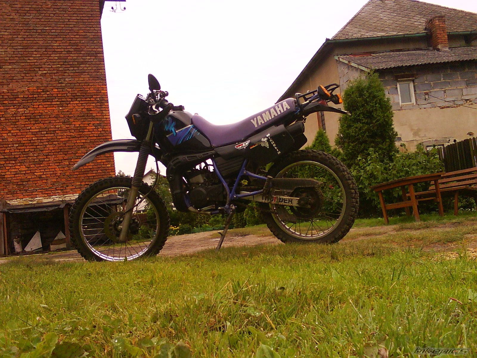 Photo 2006353