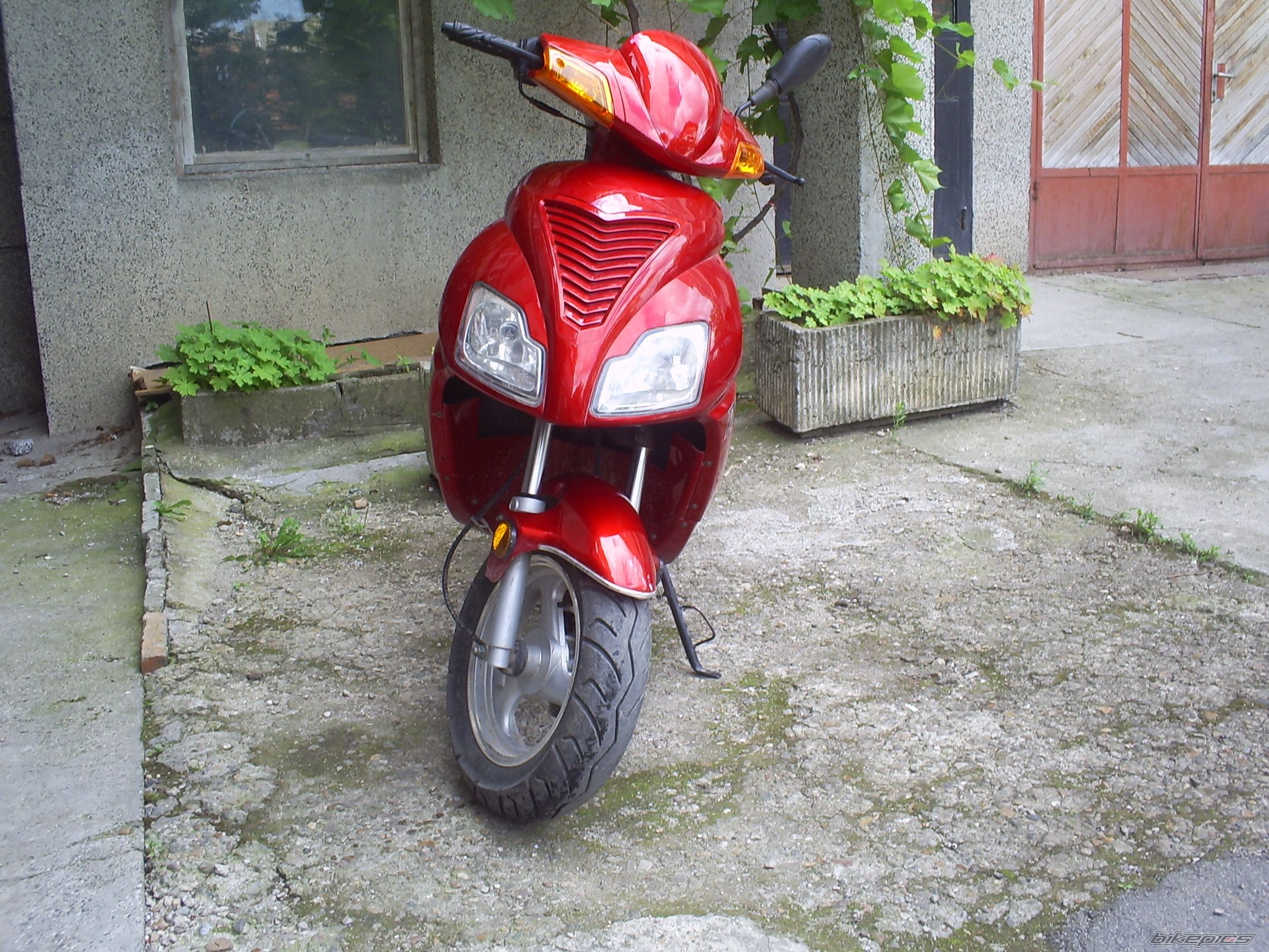 Photo 2006376