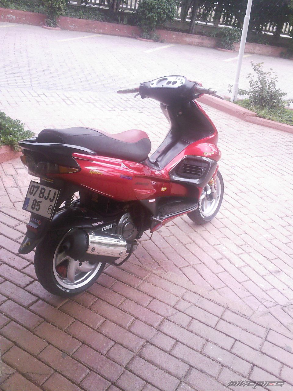 Photo 2006388