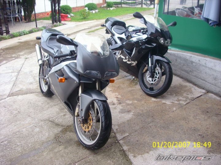 Photo 2006450