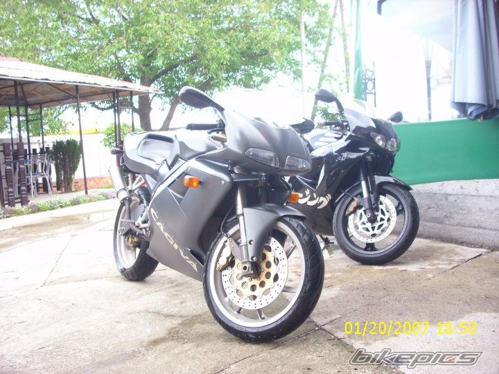 Photo 2006451
