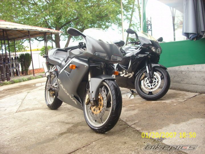 Photo 2006452