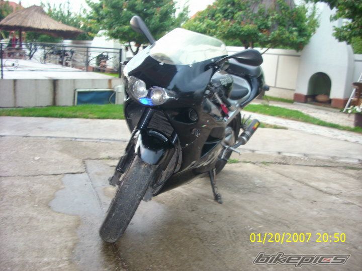 Photo 2006454
