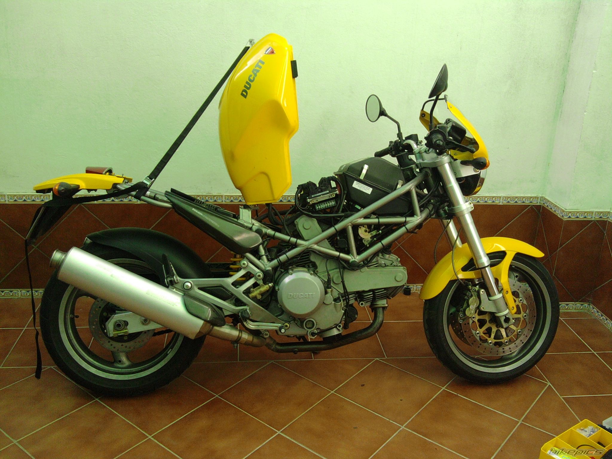 Photo 2006456