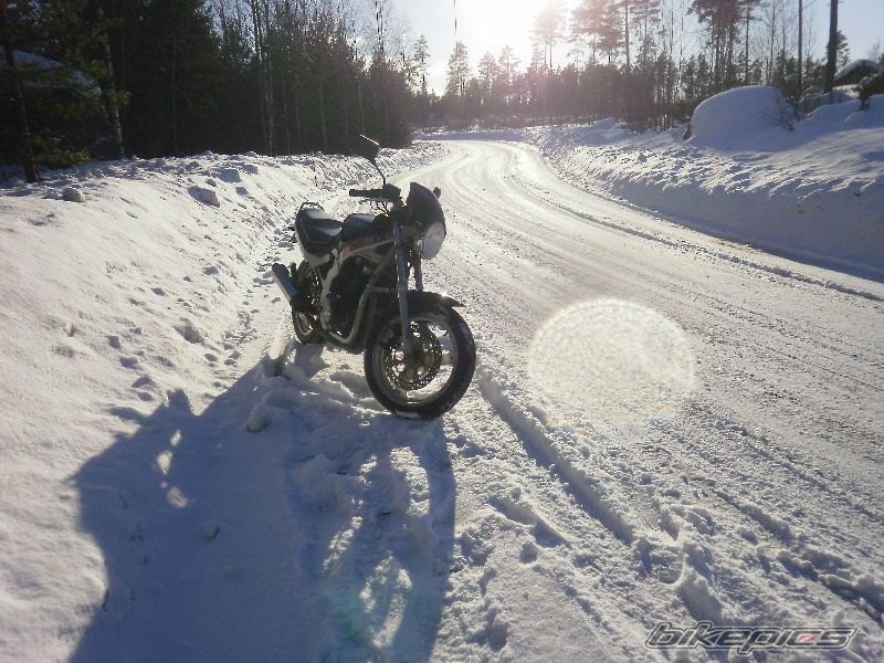 Bike Photo 2006539