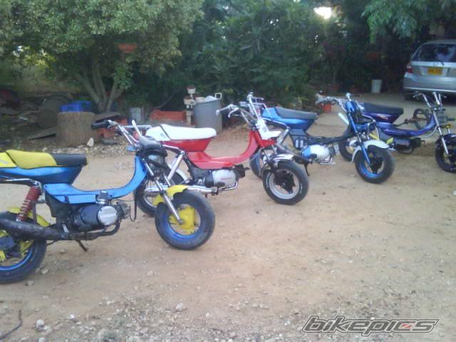 Photo 2006540