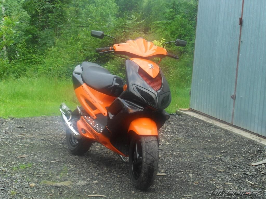 Photo 2006567