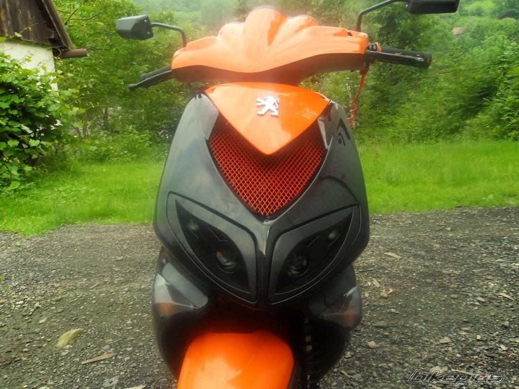 Photo 2006568