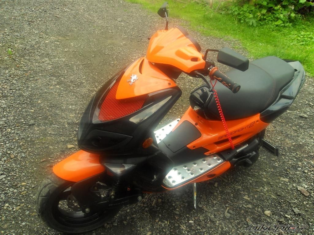 Photo 2006573